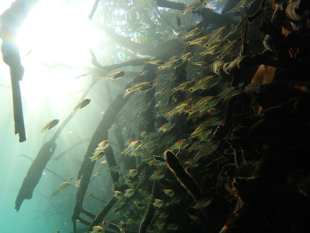 pa160098.jpg