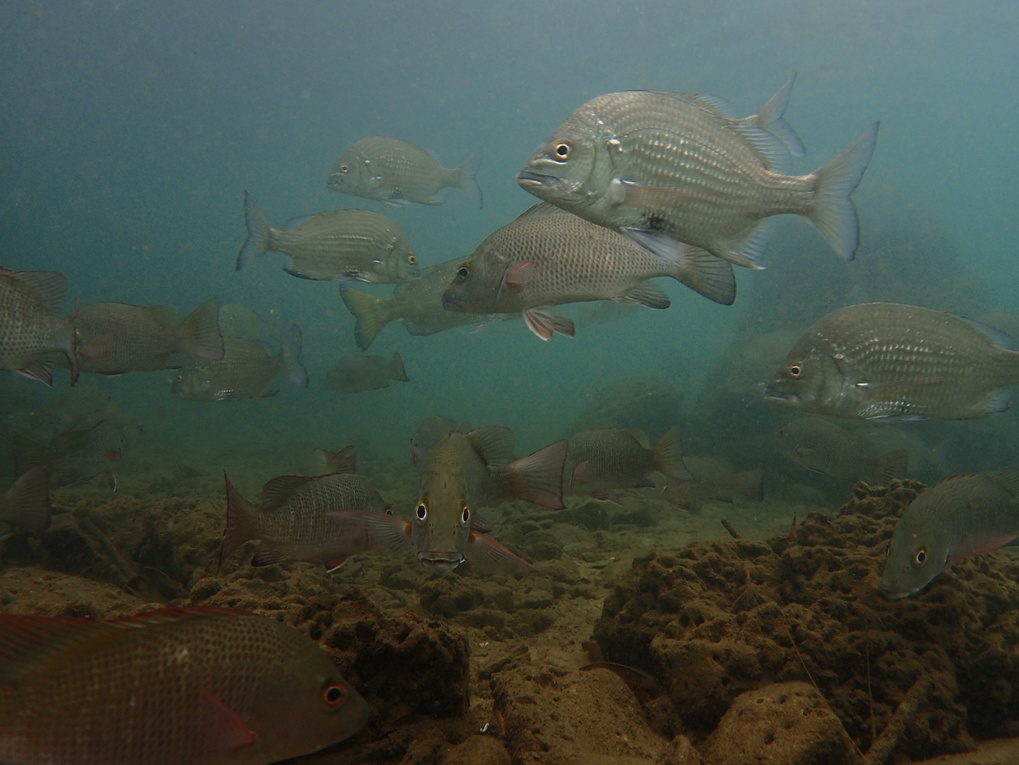 p7252420.jpg